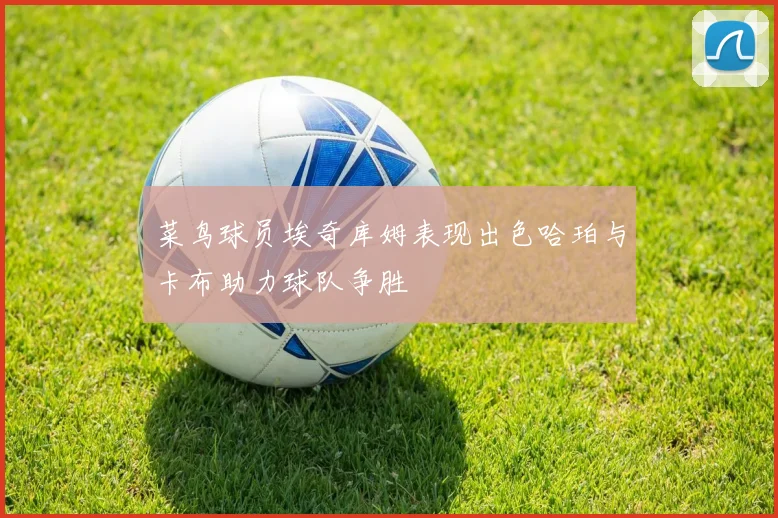 菜鸟球员埃奇库姆表现出色哈珀与卡布助力球队争胜
