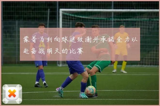 蒙哥马利向球迷致谢并承诺全力以赴备战明天的比赛